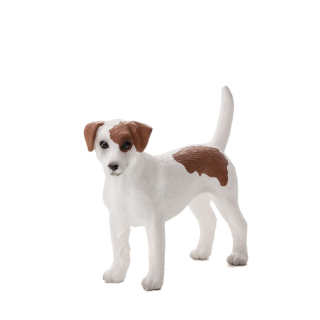 Animal Planet Jack Russell teriér